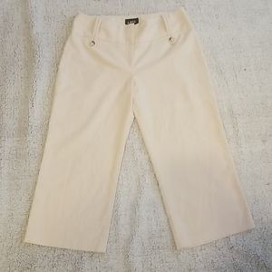 Dress Pants